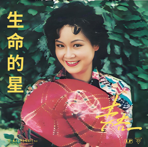 薛婧专辑《姿韵2》1000
